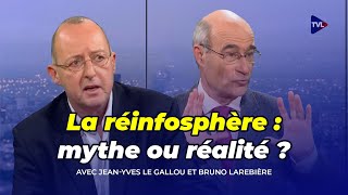 La réinfosphère  mythe ou réalité  Débat JeanYves Le Gallou  Bruno Larebière sur TVL 122016 [upl. by Nossah]