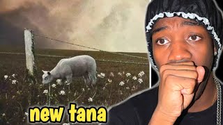 REACTING TO tana  18 Lyric Video [upl. by Pirri]