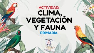 Regiones de climas y vegetación de México [upl. by Sullivan113]