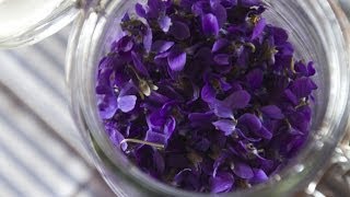 Making Perfume from Violets Enfleurage  Fresh P [upl. by Nichole]