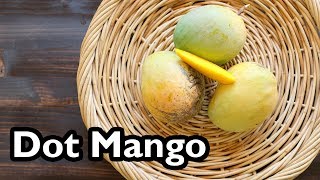 Truly Tropical Mango Varieties Dot [upl. by Parent]