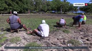 Raiatea  le marae de Taputapuatea nettoyé avec précaution [upl. by Repmek330]