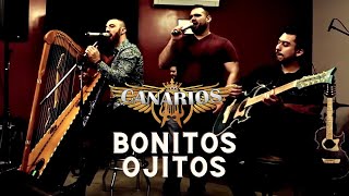 Canarios De Michoacan  Bonitos Ojitos En Vivo [upl. by Aisetal]