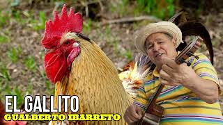 Gualberto Ibarreto  El Gallito [upl. by Nilhsa]