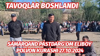 TAVOQLAR BOSHLANDI SAMARQAND PASTDARGOM ELIBOY POLVON KURASHI 27102024 [upl. by Hinson]