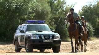 Romeria del Rocio Dispositivo Especial Plan Romero 2013 [upl. by Ellenahs]