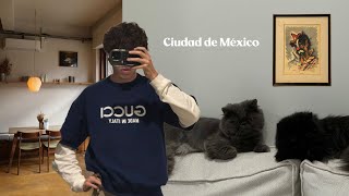 Un Chico regresa a su Hogar la CDMX y sus amigos [upl. by Nas]