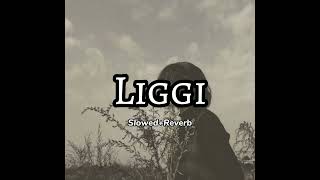 Liggi SlowedReverb  Ritviz [upl. by Nek647]