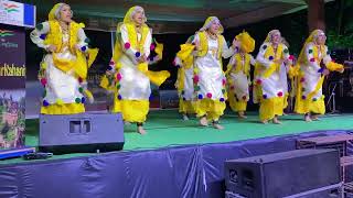 luddi dance by students of Chitkara university Rajpura [upl. by Ihskaneem842]