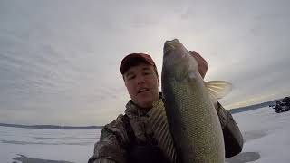 HUGE Walleye Caught on I Fish Pro Tip Up [upl. by Rettig]