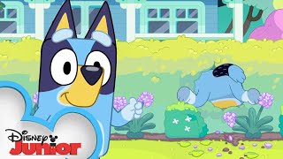 Bluey Season 3 Episode 39 quotExercisequot Episode Clip  disneyjr x BlueyOfficialChannel [upl. by Latsirk]