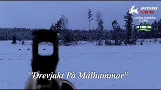 quotDrevjakt På Målhammarquot Följ med Jaktfeber på fartfylld drevjakt [upl. by Winwaloe]