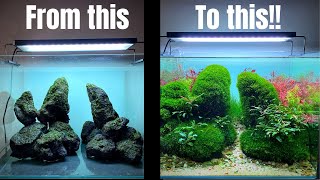 TAKE YOUR AQUASCAPE TO THE NEXT LEVEL WITH THIS MOSS METHOD [upl. by Geri]