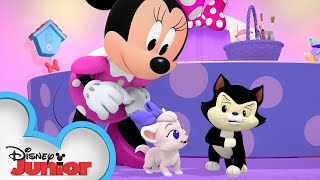 Νέα Γατούλα στο Σπίτι  Τα Φιογκάκια της Μίνι 🎀  Disney Junior Ελλάδα [upl. by Htebsle933]