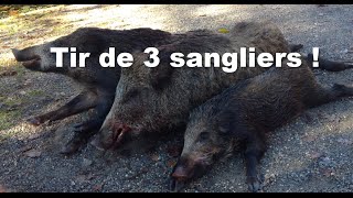 Une matinée INCROYABLE  Chasse sanglier Ardèche 2015 [upl. by Percy981]