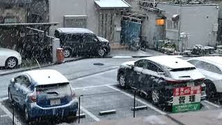 Heavy Snowfall in Tokyo  February 5 2023  5 pm [upl. by Amr88]