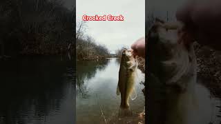 Creek Bass creek fishing bass [upl. by Joslyn]