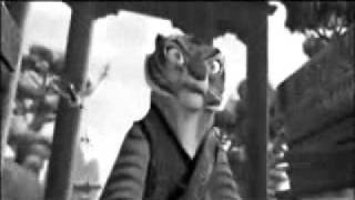 Master Tigress AMV [upl. by Eissac]