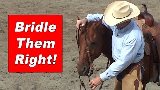 How To Bridle A Horse and Adjust The Bit Correctly  Training A Horse To Be Good To Bridle [upl. by Van]