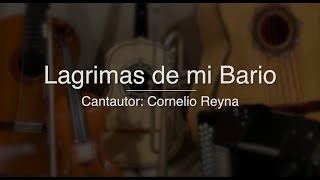 Lagrimas de mi Barrio  Puro Mariachi Karaoke  Cornelio Reyna [upl. by Ennovyahs873]