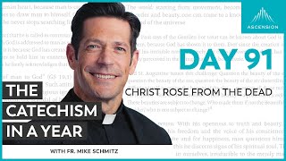 Day 91 Christ Rose from the Dead — The Catechism in a Year with Fr Mike Schmitz [upl. by Anabella]