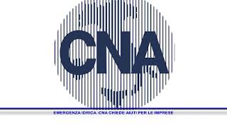 EMERGENZA IDRICA CNA CHIEDE AIUTI PER LE IMPRESE [upl. by Tootsie629]