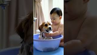 Baby bathing dog [upl. by Dwaine785]