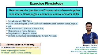 Neuromuscular junction and transmission of nerve impulse  Action potential  UGC NET [upl. by Rebak982]