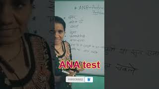 ANA Test  Immune Disorder test  Antinuclear Antibody shorts viral [upl. by Orr]