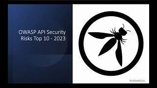 1 OWASP Top 10 API Risks 2024 [upl. by Ahsan]