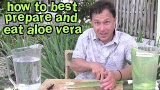 How to Best Prepare and Eat Aloe Vera amp Aloe FAQ [upl. by Bloxberg]