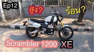 ลองขี่ Triumph  Scrambler 1200 XE สูงมากกก Test Ride Ep 12 [upl. by Alegnasor829]