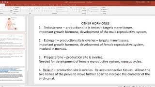 video 11 endocrine system other hormones [upl. by Stinky654]