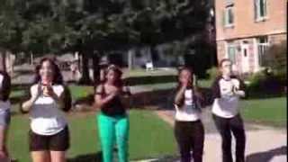 Cazenovia college Infinity step fall 2013 [upl. by Alverta468]