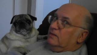 December 9 and 10 2012  dad talking to his pug bunky or baby [upl. by Nyrek]