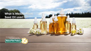 What Meadowfoam Seed Oil Is Used For [upl. by Stronski75]