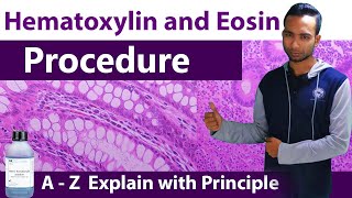 Hematoxylin and Eosin Staining Procedure  A  Z Explain with principles [upl. by Htebizile]