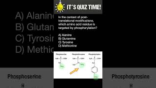 Phosphorylation of Amino acids [upl. by Yrian]