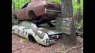 ASMR in a Car Graveyard Longer Version [upl. by Adest]