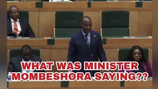 WHAT WAS MINISTER MOMBESHORA SAYING HERE  LATEST NEWS zimbabwe mnangagwa [upl. by Ratcliffe]