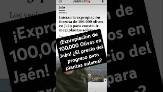 ¡Expropiación de 100000 Olivos en Jaén ¿El precio del progreso para plantas solares 🌱🔆 Jaén [upl. by Agace]