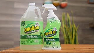 Does OdoBan Disinfectant kill coronavirus March 2020 Response [upl. by Eneloj]