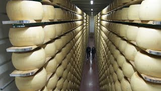 Massimo Botturas obsession with ParmigianoReggiano [upl. by Sile]