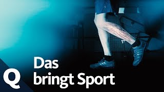 Wundermittel Sport Körper Geist und Gene profitieren von Bewegung  Quarks [upl. by Yeliac]