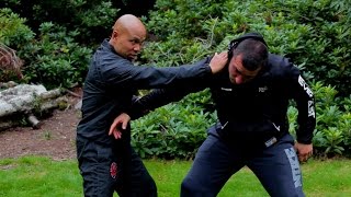 Difference between tai chi and wing chun [upl. by Schug]