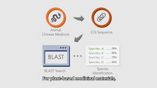 DNA Authentication 5  DNA Barcoding for Herbal Material 中藥材分子鑒定方法——基因條形碼分析 [upl. by Clausen]