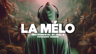 Free Melodic Drill Type Beat quotLa Méloquot Instru Rap drill Love Instrumental Melodieuse 2024 [upl. by Vonnie]