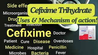 Cefixime Trihydrate Uses amp Mechanism of action cefiximetrihydrate impetigo pneumonia gonorrhea [upl. by Millie]