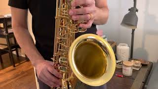 Yanagisawa T901 Tenor Saxophone Demo wwwdcsaxcom [upl. by Yhtomit]