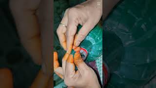 Water bottle Diy easy craft viral ytshorts trending explore latest video araku2024 [upl. by Sascha]